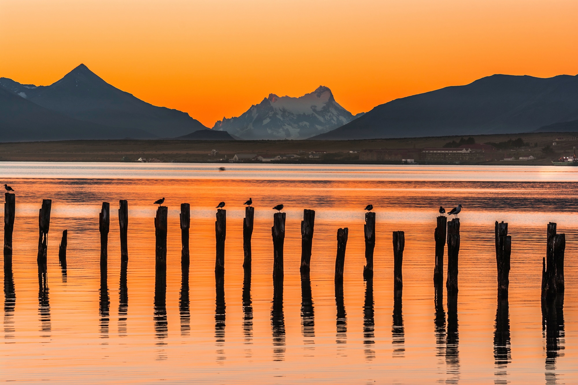 Papermoon Fototapete "PUERTO NATALES-CHILE SEE GEBIRGE BLUMEN SONNE WALD STEG"