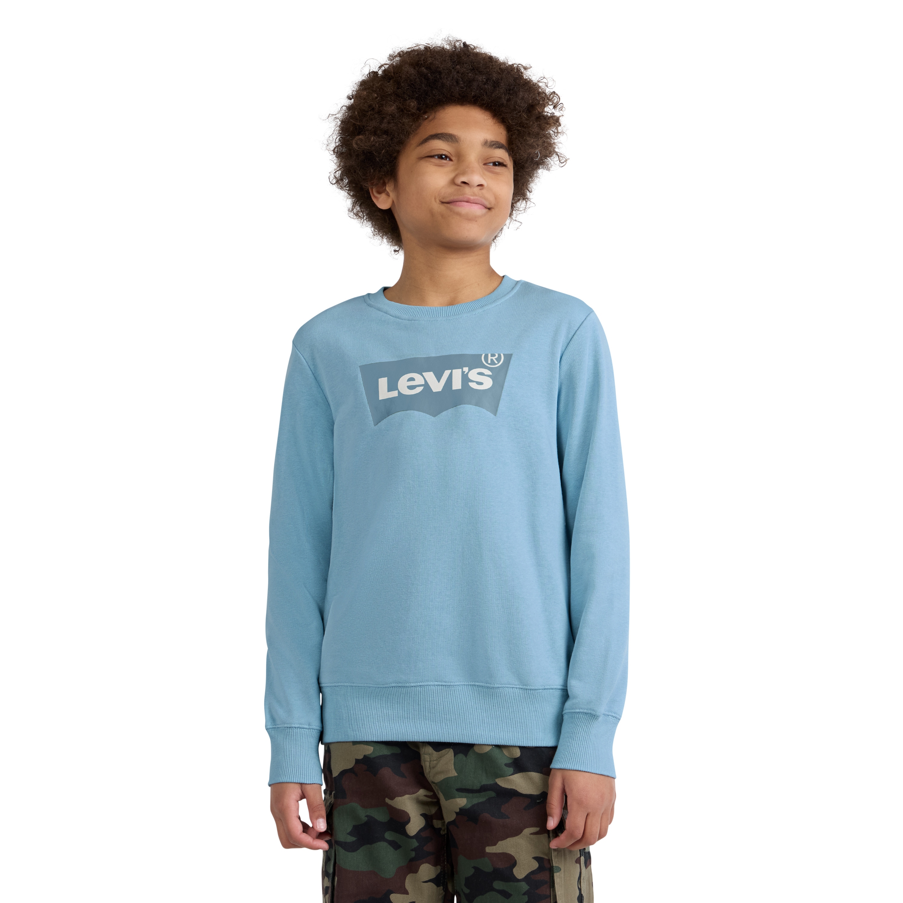 Levis Kids Sweatshirt "LVB LVB FRENCH TERRY BATWING", mit großem Logo