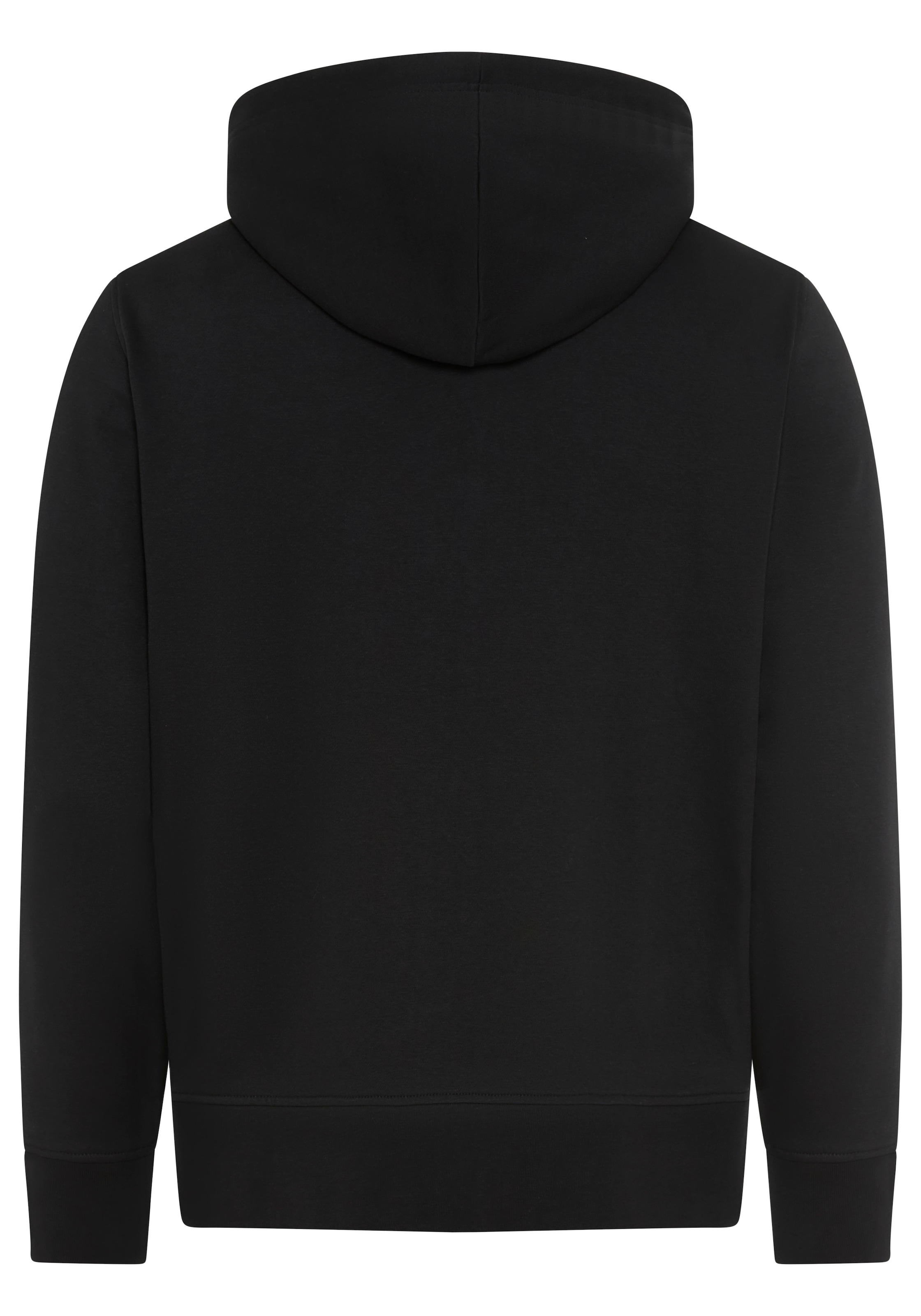 Gant Kapuzensweatjacke GRAPHIC FULL ZIP HOODIE günstig online kaufen