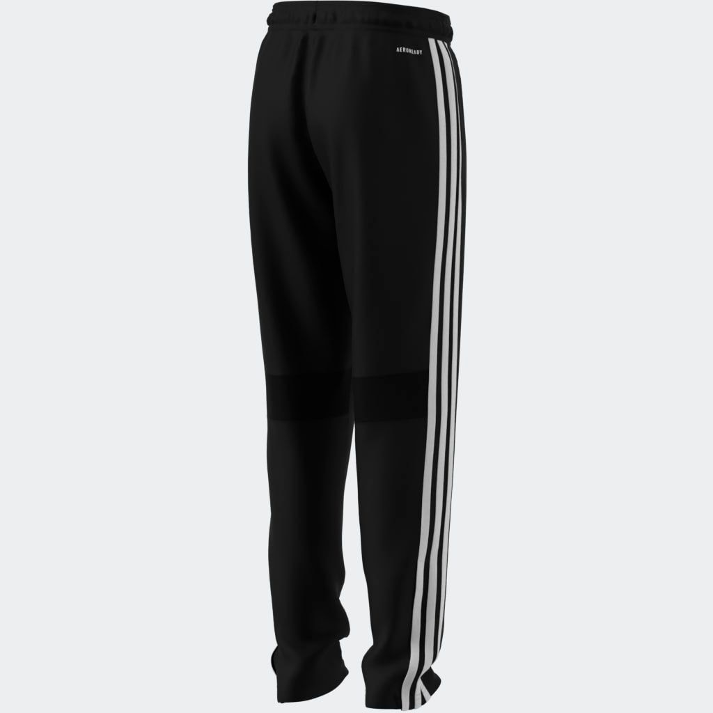 adidas Performance Trainingshose »TIRO ES PNT Y«, (1 tlg.)