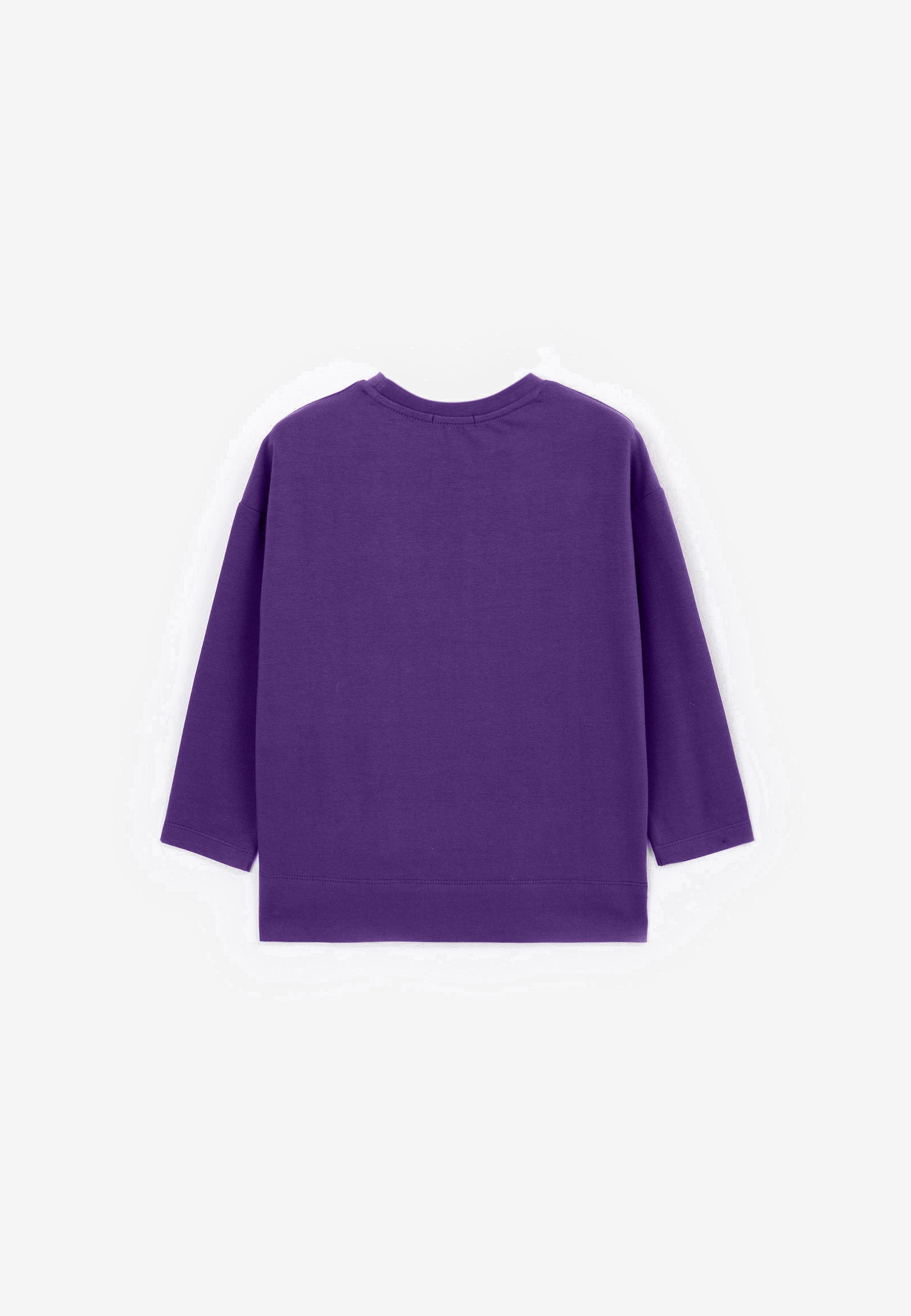 Gulliver Langarmshirt, mit tollem Frontdruck