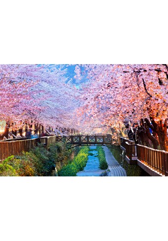 Papermoon Fototapetas »Cherry Blossoms Busan Cit...