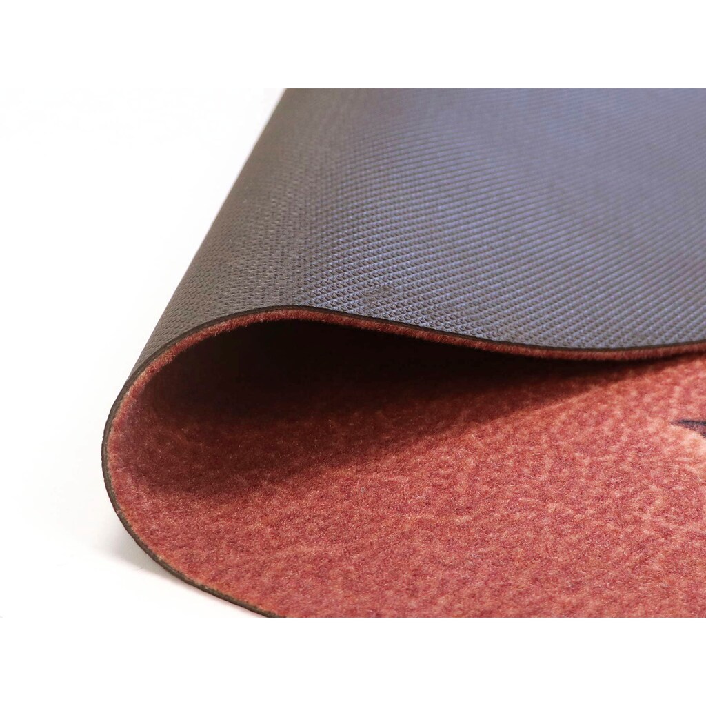 Primaflor-Ideen in Textil Fußmatte »TEXAS«, rechteckig