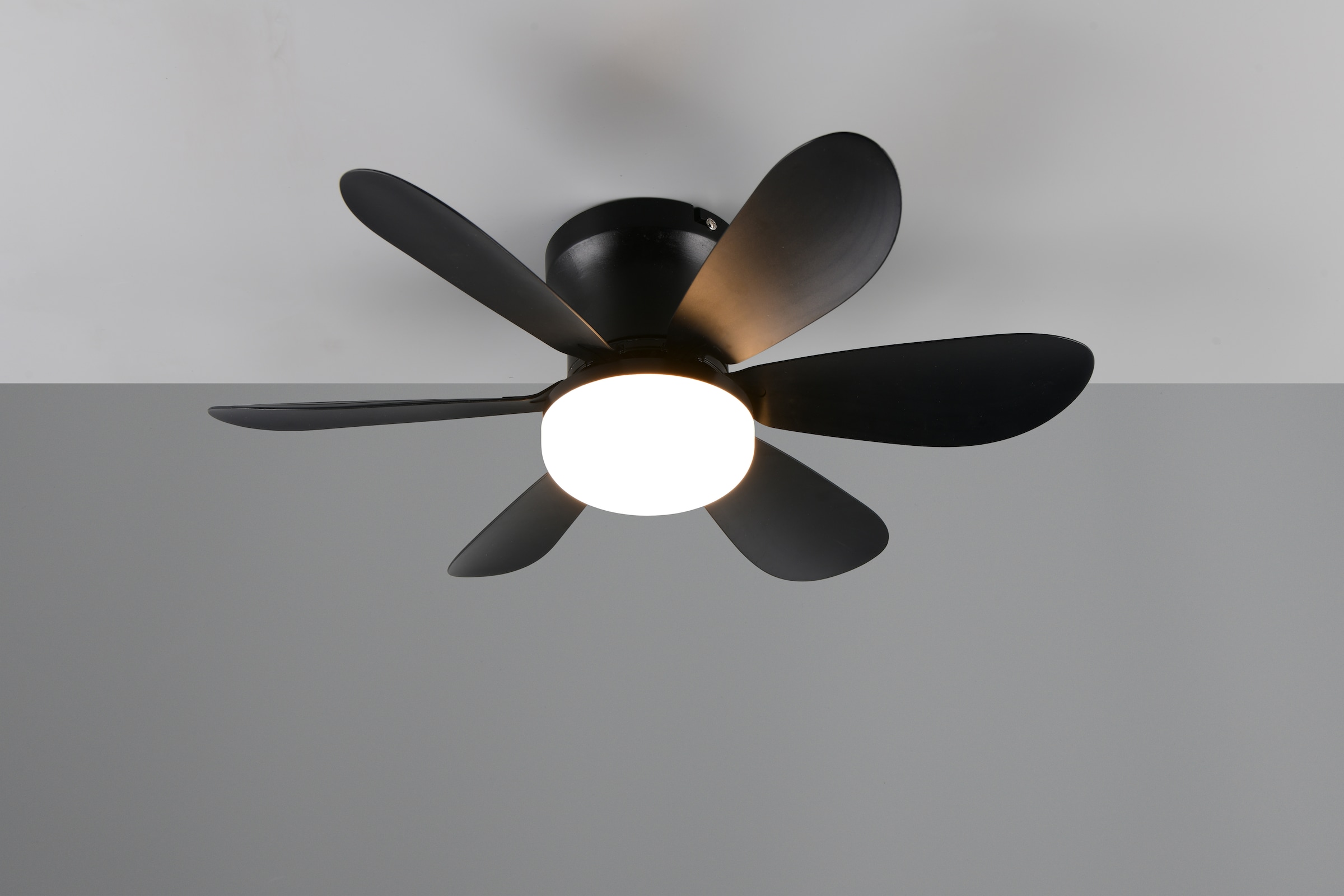 REALITY Leuchten LED Deckenleuchte »LUND mit Ventilator, Deckenventilator mit Licht inkl Fernbedienung«, 1 flammig, Leuchtmittel LED-Board | LED fest integriert, 3 Geschwindigkeiten Timer Vor- & Rücklauf LED dimmbar CCT Nachtlicht