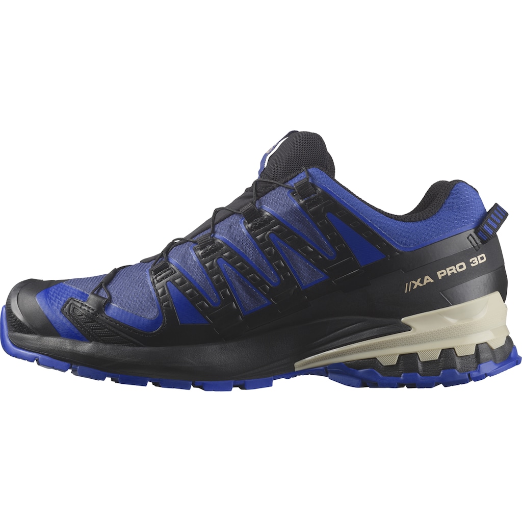 Salomon Trailrunningschuh »XA PRO 3D V9 GORE-TEX«