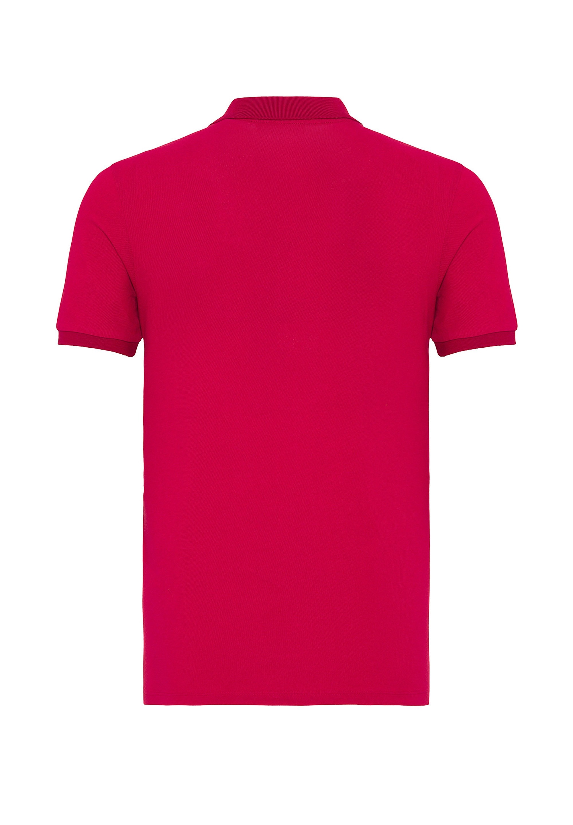 SIR RAYMOND TAILOR Poloshirt »Wheaton«, (1 tlg.), mit klassischem Kragen und kurzer Knopfleiste
