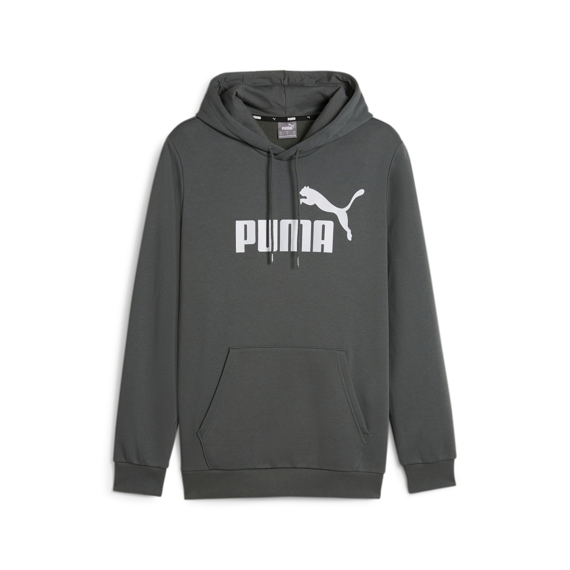 PUMA Kapuzensweatshirt "ESS BIG LOGO HOODIE FL (S)" günstig online kaufen