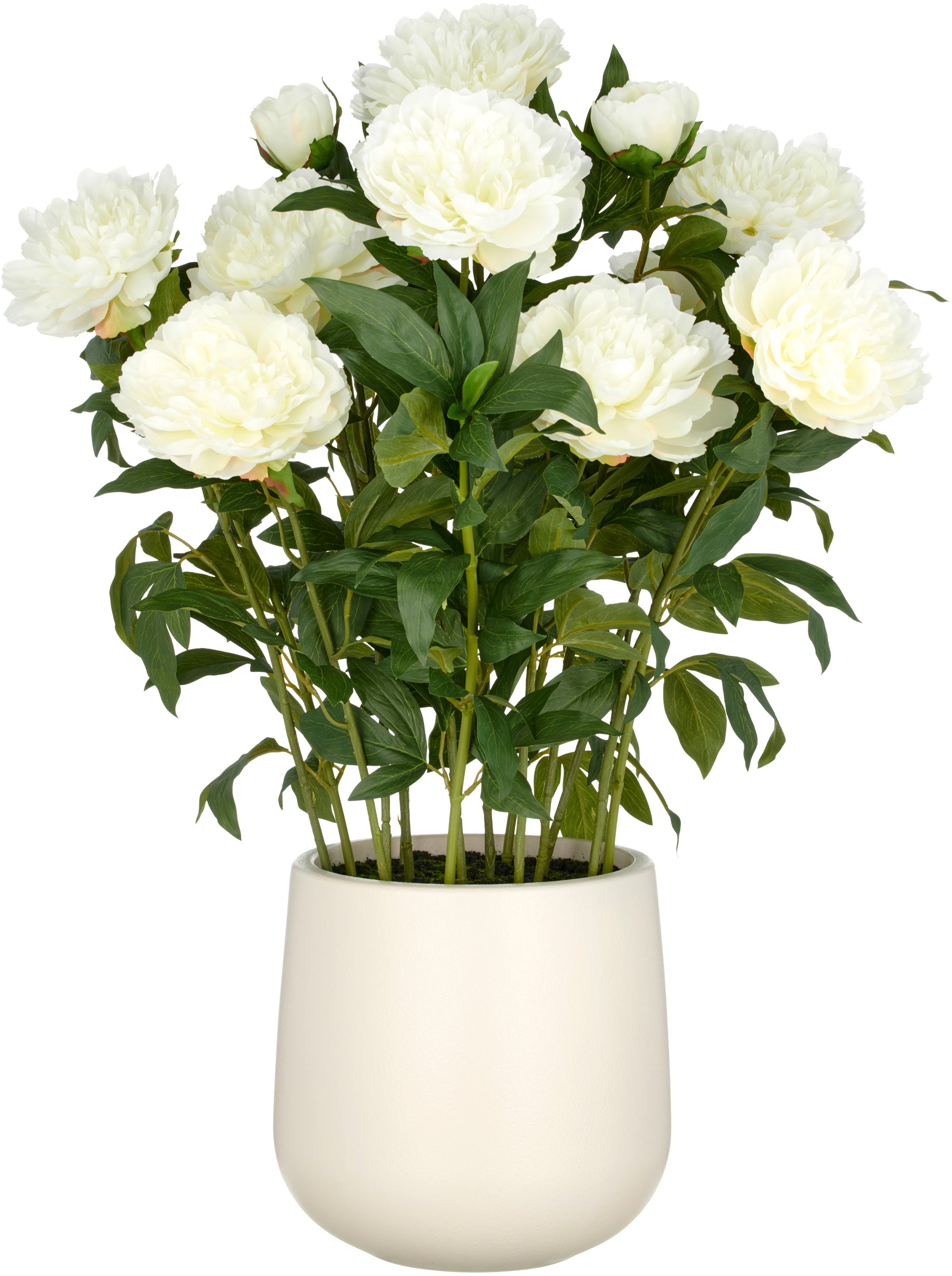Creativ green Kunstpflanze "Peonie", im eleganten Topf günstig online kaufen