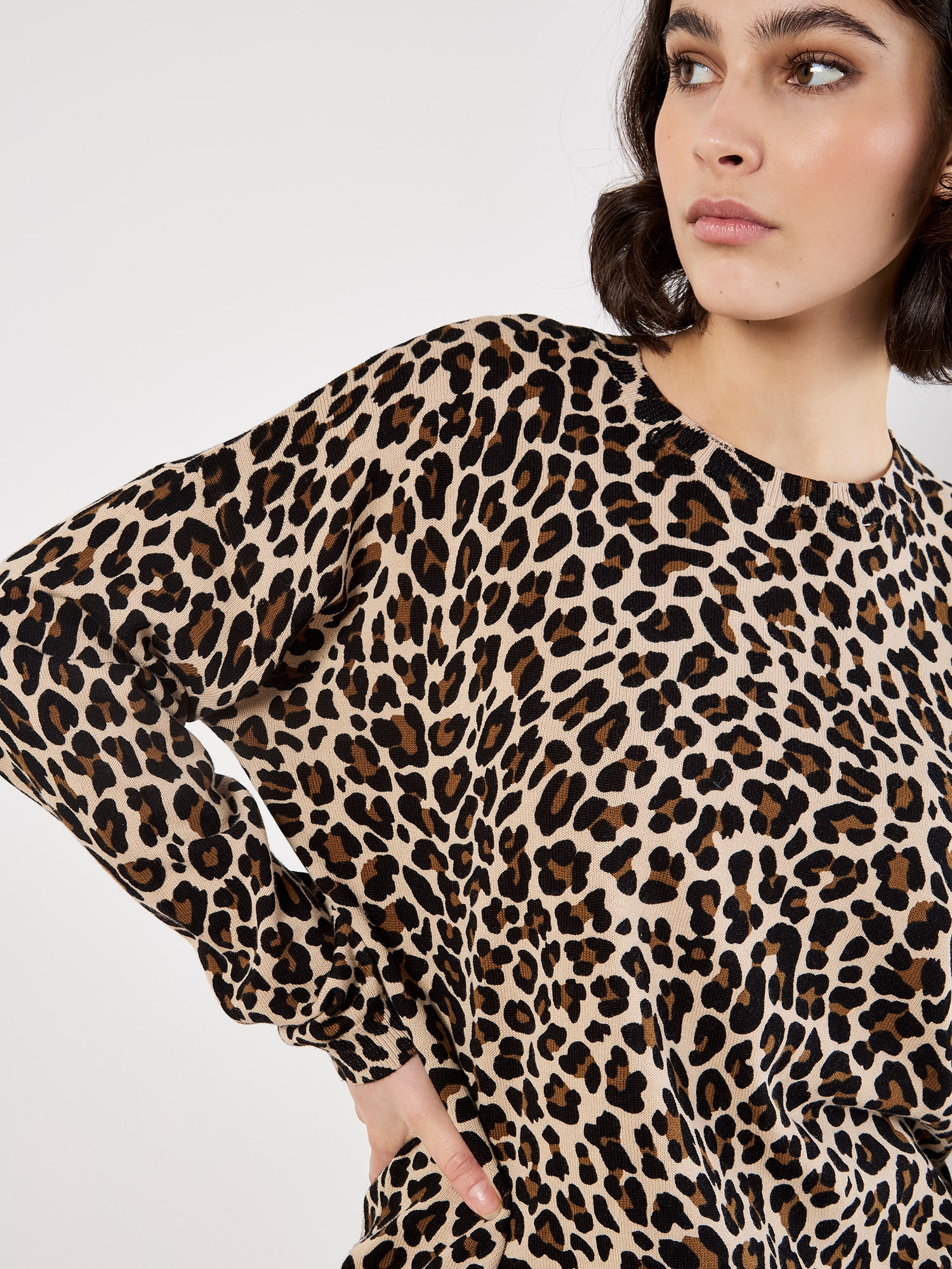 Apricot Strickpullover »Feinstrickpullover« mit Leopardenmuster