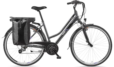 E-Bike »Expedition XT480«, 21 Gang, Shimano, Heckmotor 250 W, mit Fahrradtasche