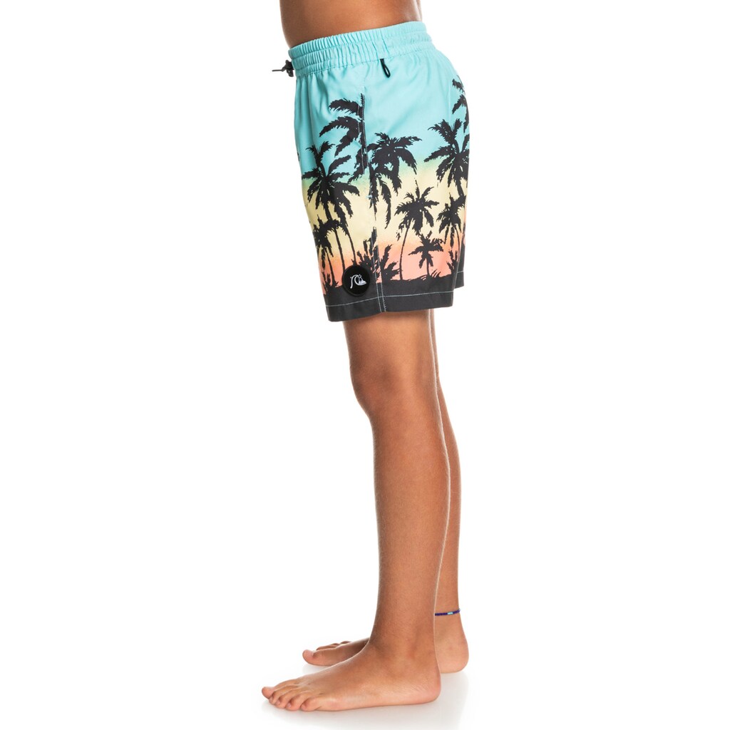 Quiksilver Boardshorts »Everyday Paradise 14"«