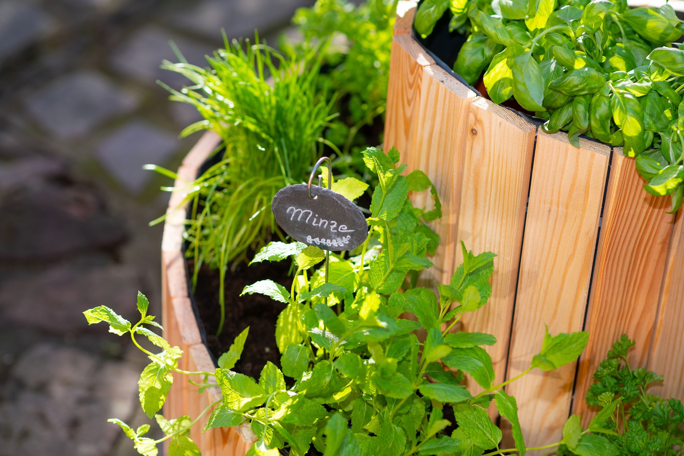 WESTMANN Kräuterspirale »Luise« 100 % FSC®-zertifiziertes Lärchenholz