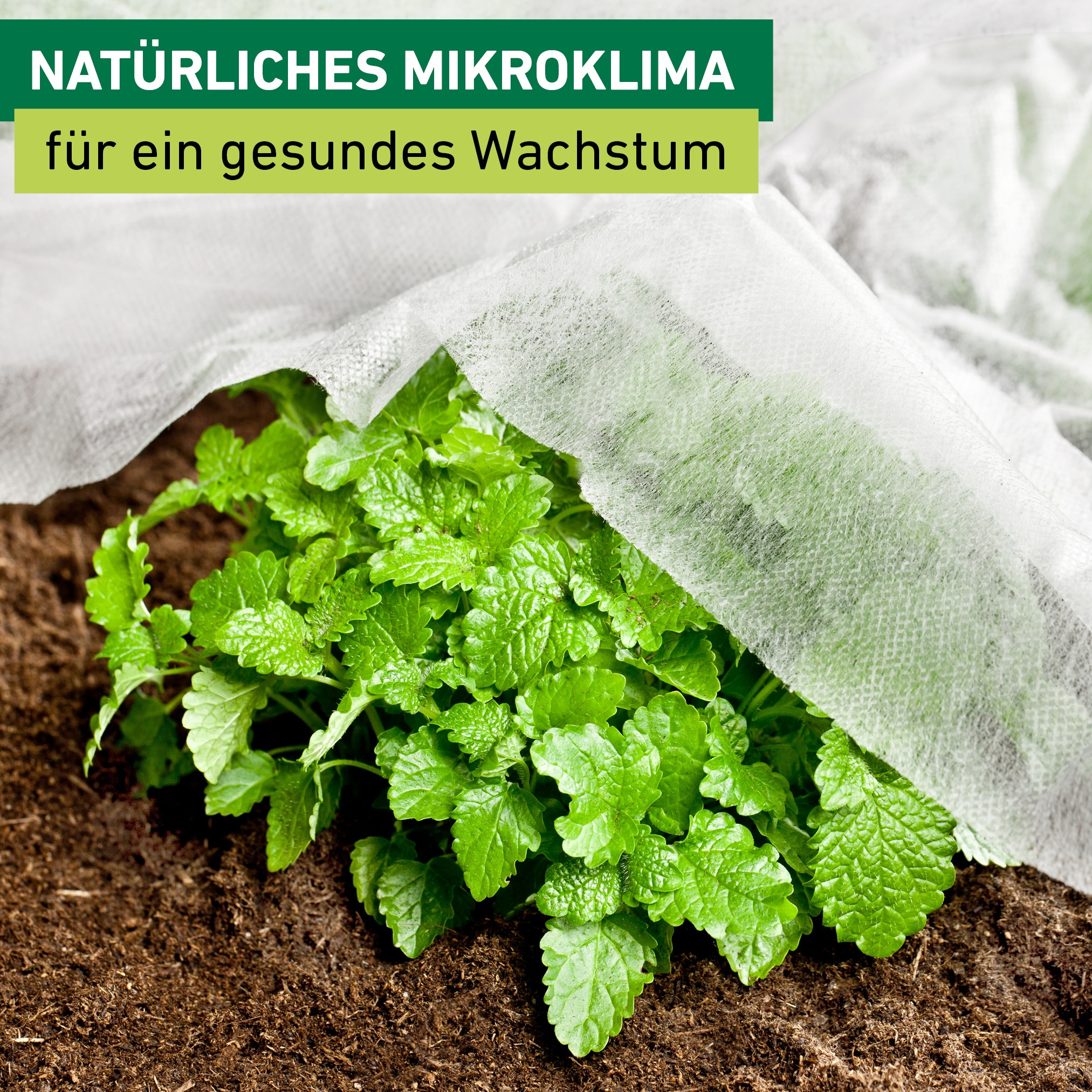 Windhager Gartenvlies »Basic für gesundes Wachstum« 1 Stk. tlg. Abdeckvlies 10 x 1,5 m 17 g/m², Gartenfolie, weiß