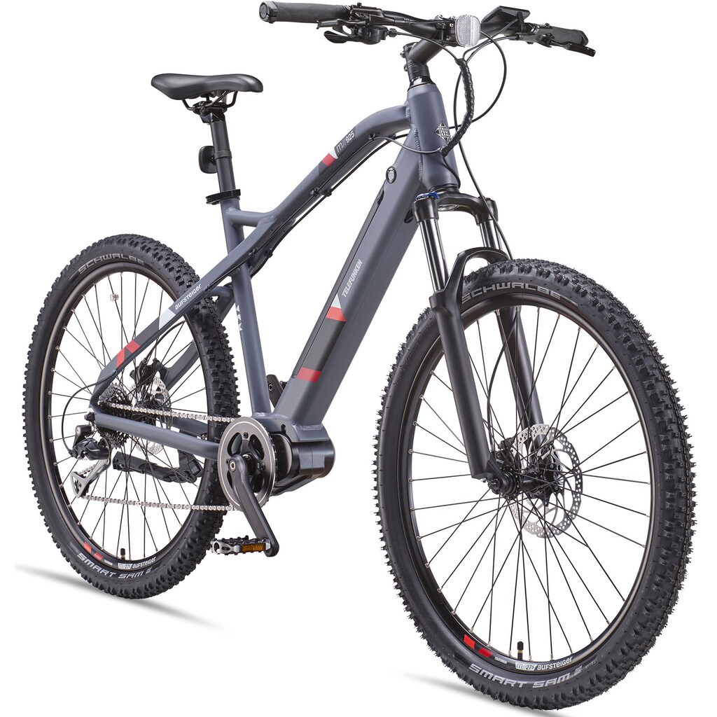 Telefunken E-Bike »Aufsteiger M925«, 8 Gang, Shimano, Acera, Mittelmotor 250 W