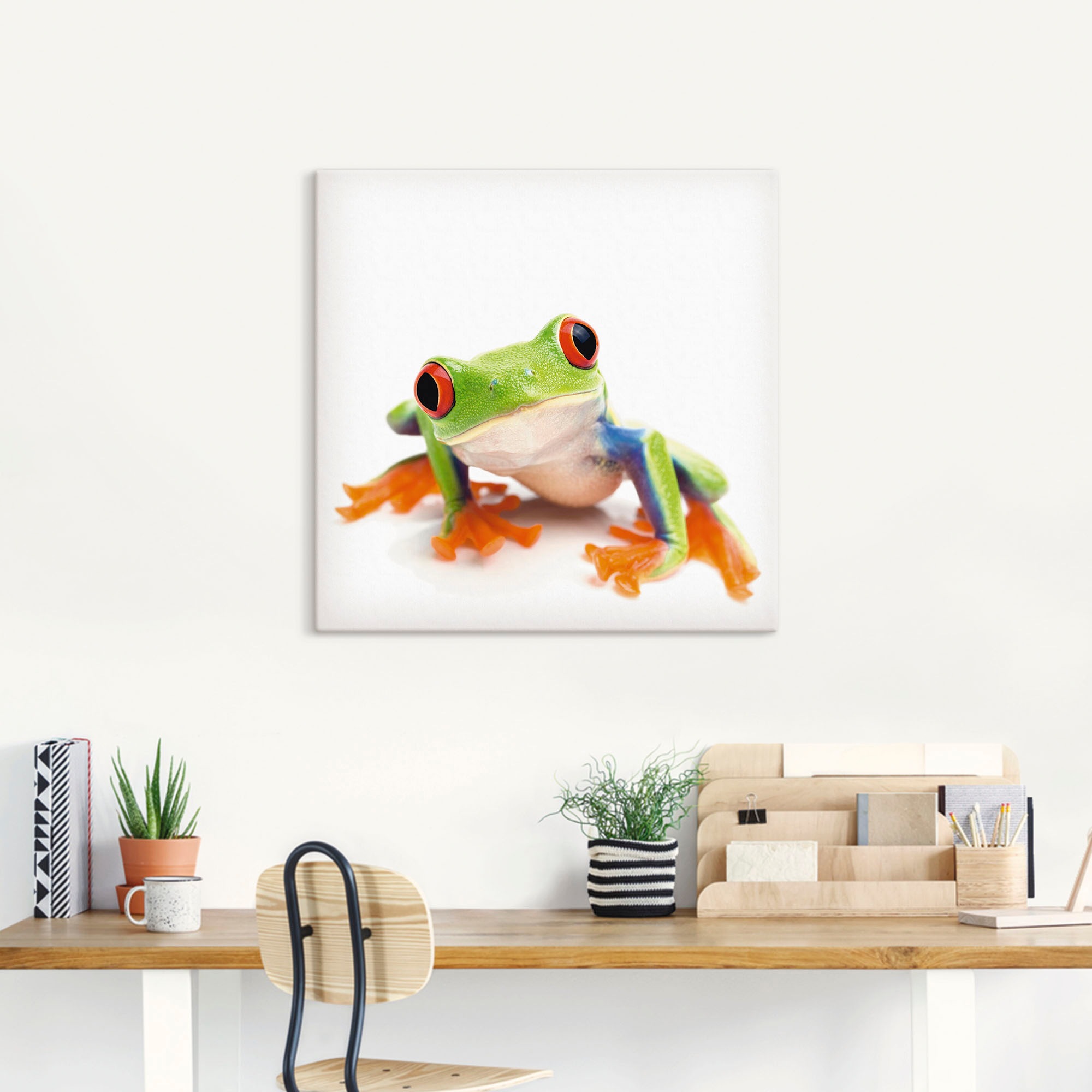 Artland Wandbild »Großaufnahme eines Frosches vor weiß«, Wassertiere, (1 St.), als Alubild, Outdoorbild, Leinwandbild in verschied. Größen