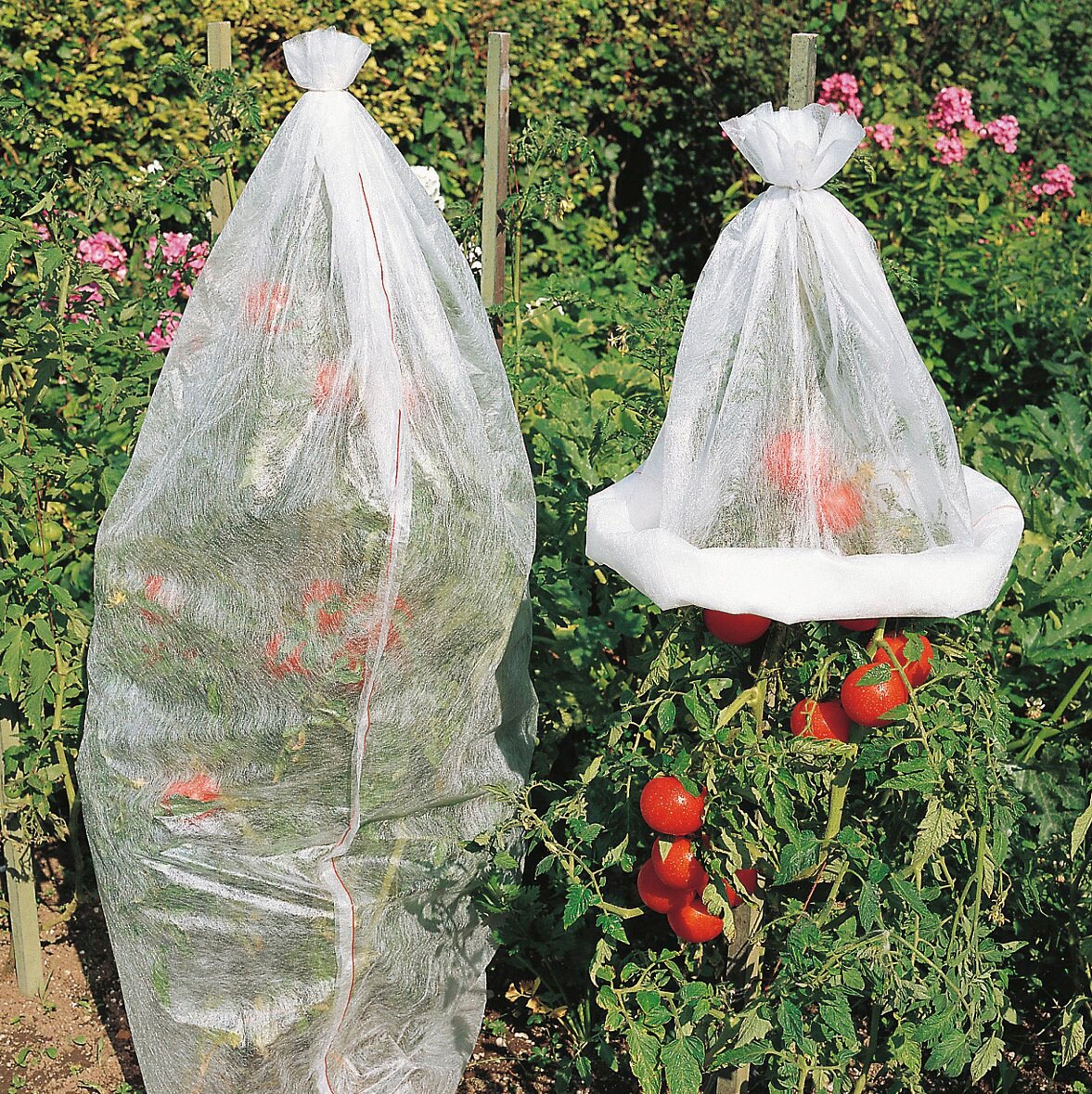 Windhager Winterschutzvlies »Wachstumsvlies«, Tomaten-Vliesschlauch, 1000x65 cm
