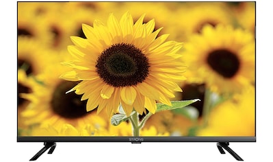 LED-Fernseher »SRT32HD5553«, 80 cm/32 Zoll, HD-ready, Smart-TV