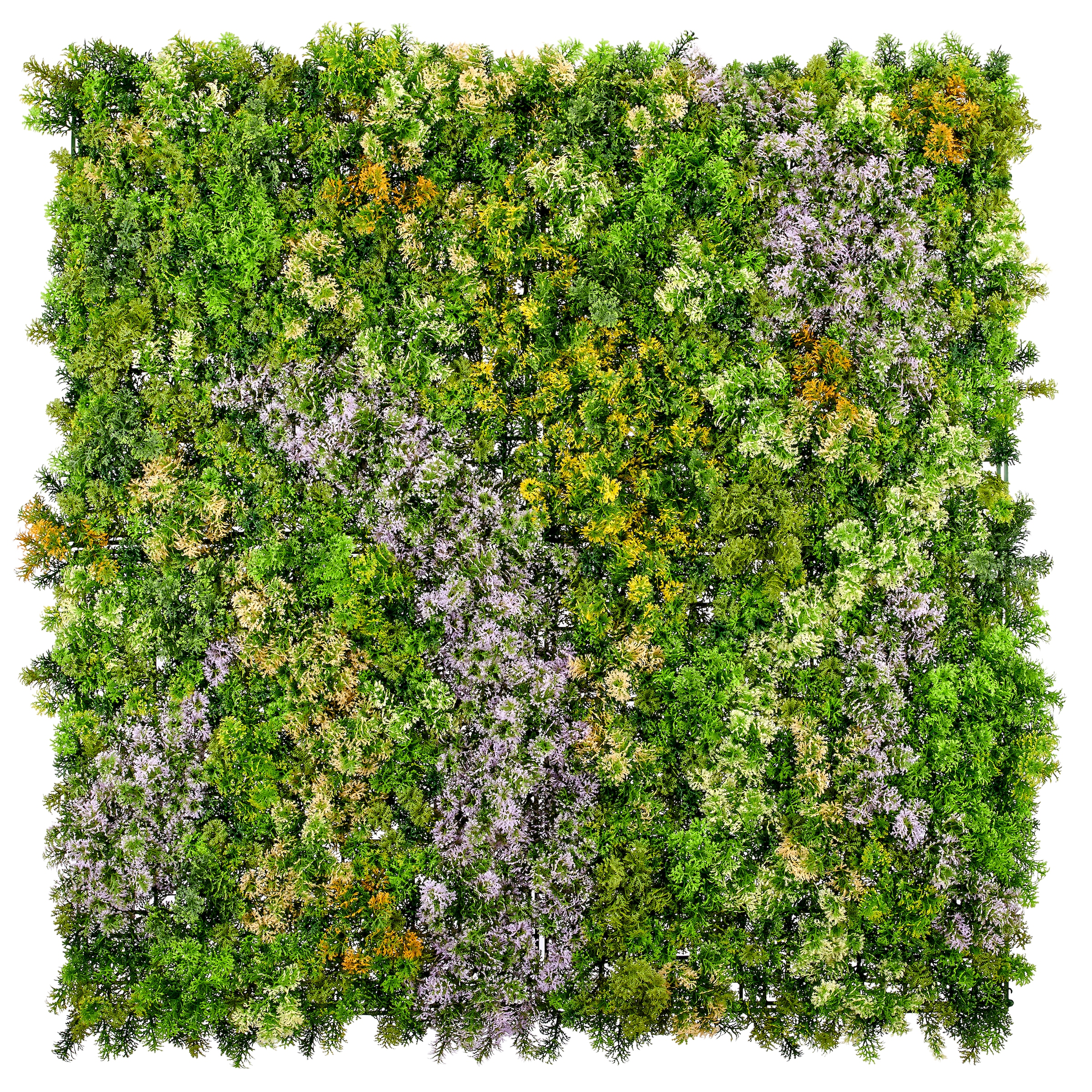 Creativ green Kunstpflanze "Wandmatte Selaginella-Mix" in UV-beständiger Ausführung