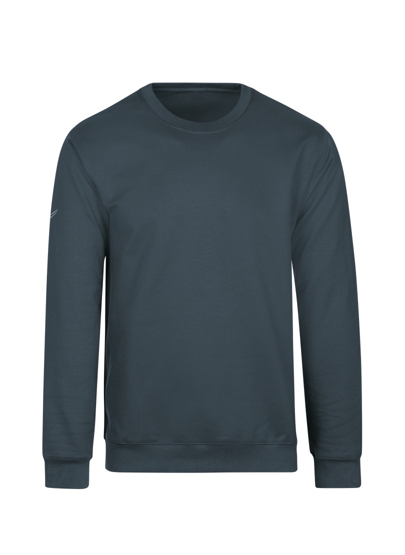 Trigema Sweatshirt "TRIGEMA Sweatshirt" günstig online kaufen