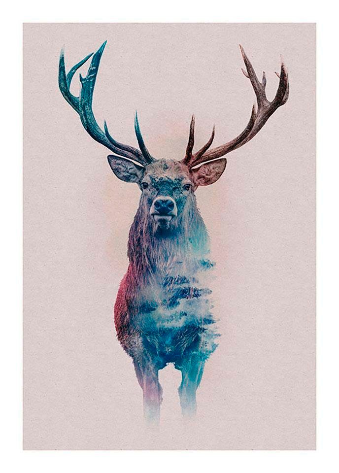 Komar Bild "Animals Forest Deer" Tiere 1 Stk. tlg. Wandbild zur Dekoration - ohne Rahmen