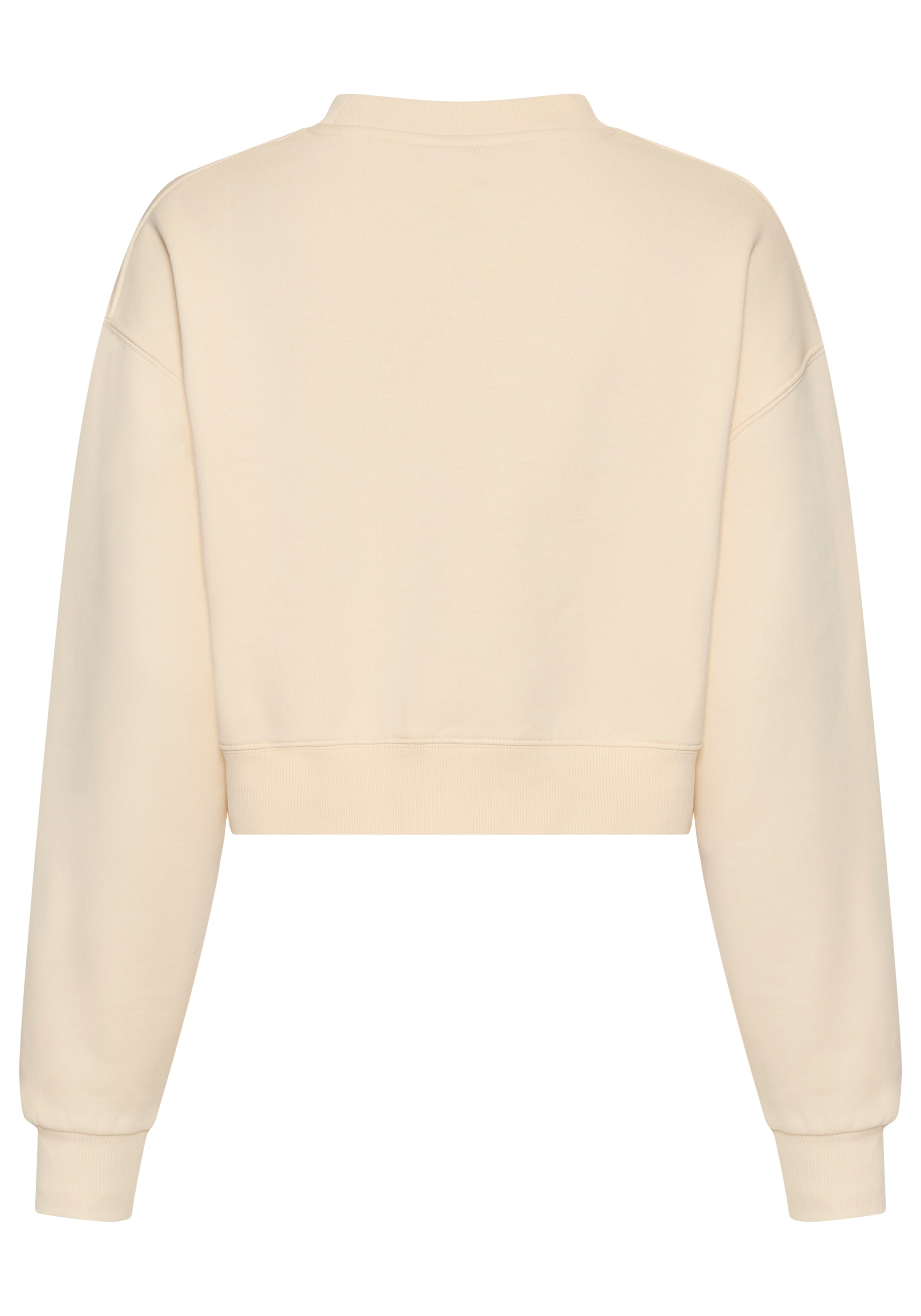 Santa Cruz Sweatshirt "WINKOWSKI 8BALLER STRIP CREW" günstig online kaufen