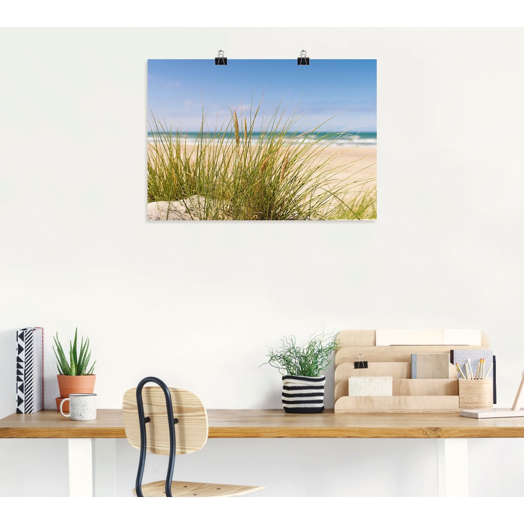 Artland Wandbild »Dünengras«, Strand, (1 St.)