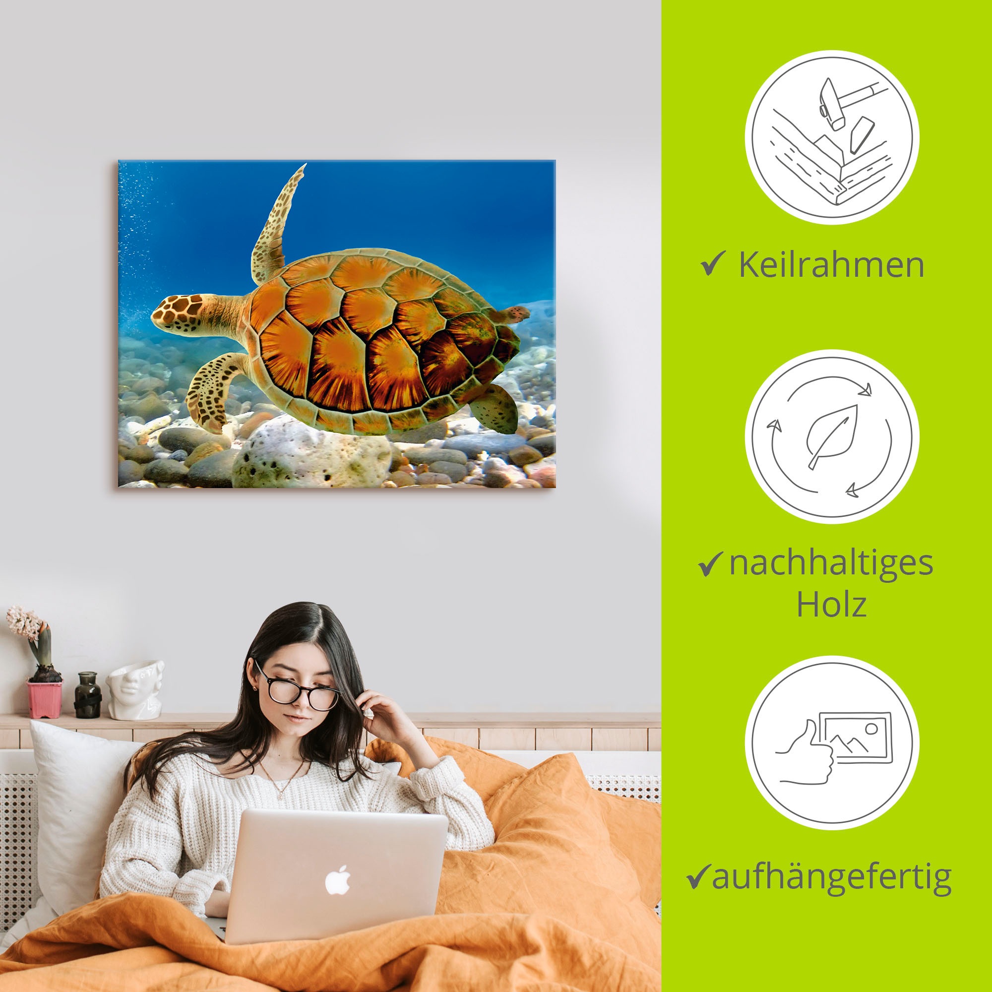 Artland Wandbild »Schildkröte«, Wassertiere, (1 St.), als Leinwandbild, Poster, Wandaufkleber in verschied. Größen