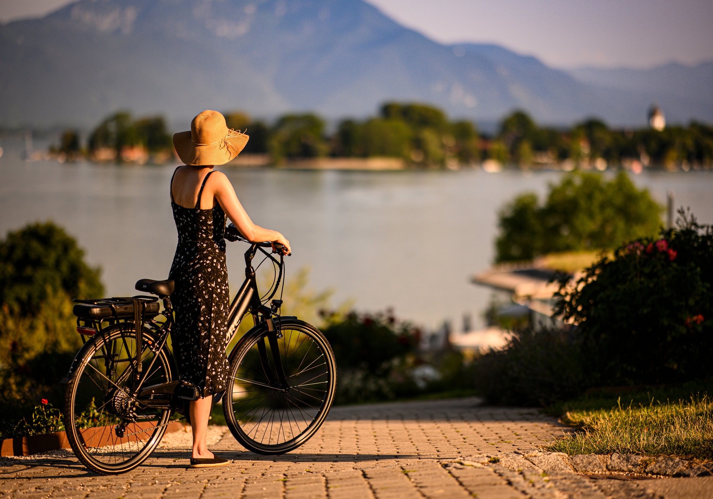Adore E-Bike »Partnerset Marseille«, 24 Gang, Shimano, Altus, Heckmotor 250 W, (Spar-Set, 2 tlg.), Pedelec, Elektrofahrrad für Damen