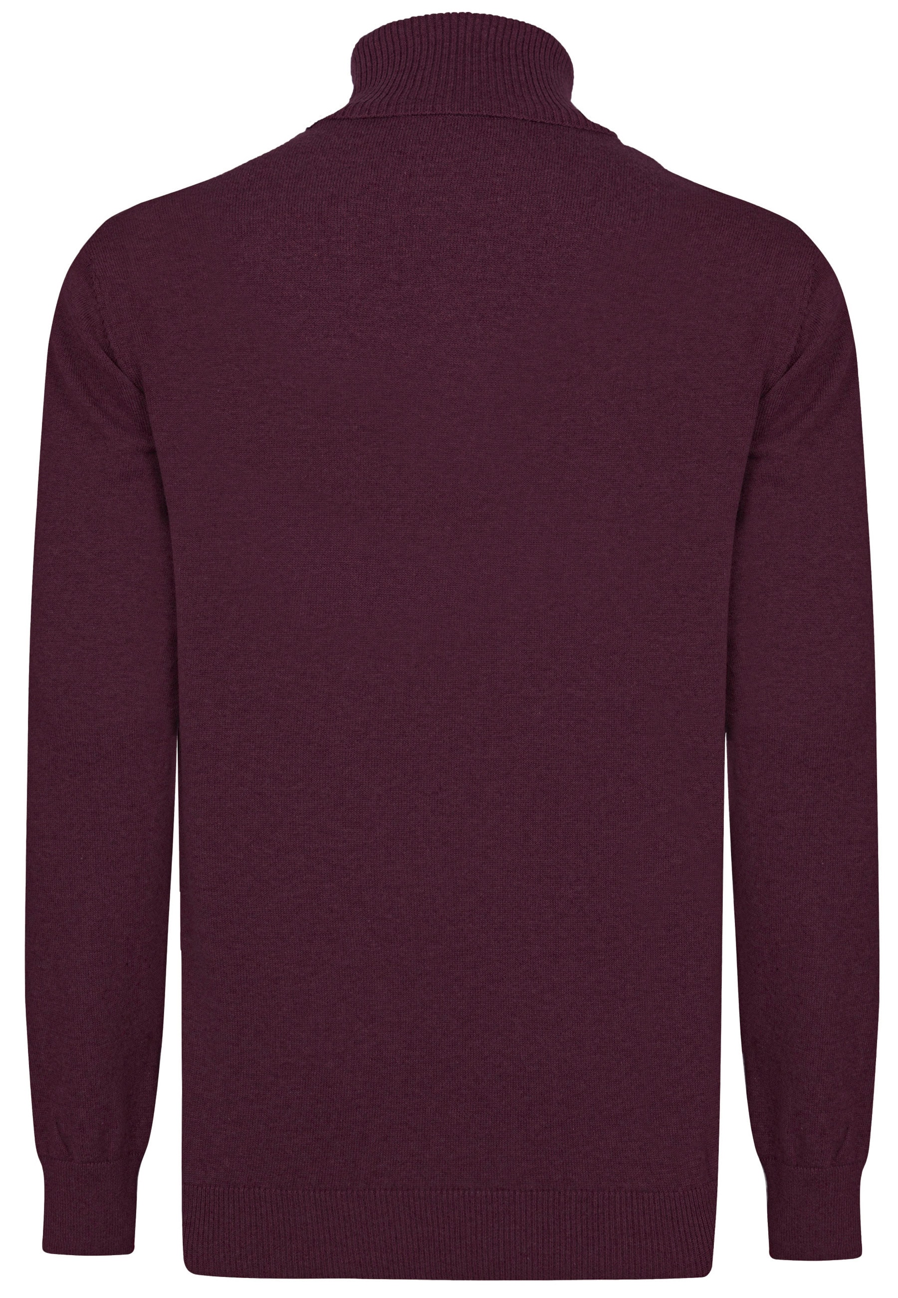 Felix Hardy Rollkragenpullover »Rollkragenpullover«