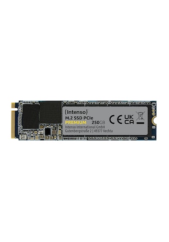 Intenso Interne SSD »M.2 SSD PCIe Premium«