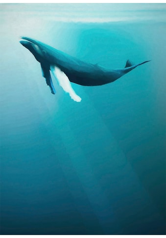 Komar Vliestapete »Artsy Humpback Whale« 200...