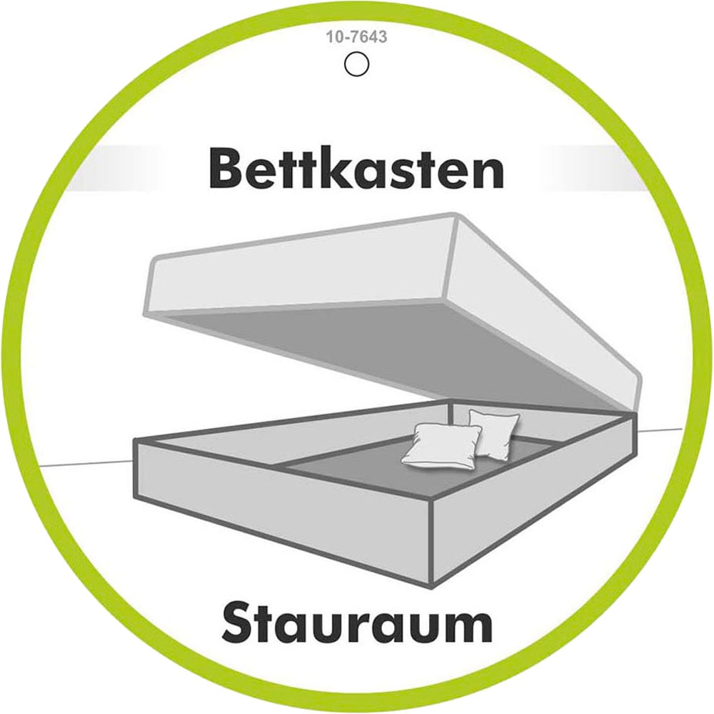 Jockenhöfer Gruppe Boxspringbett »AMY mit Bettkasten, inkl. Bonnell- oder Taschenfederkernmatratze H2-H4« mit 6 cm Kaltschaum-Topper, Samt-Bezug, 120x200 und 140x200 cm