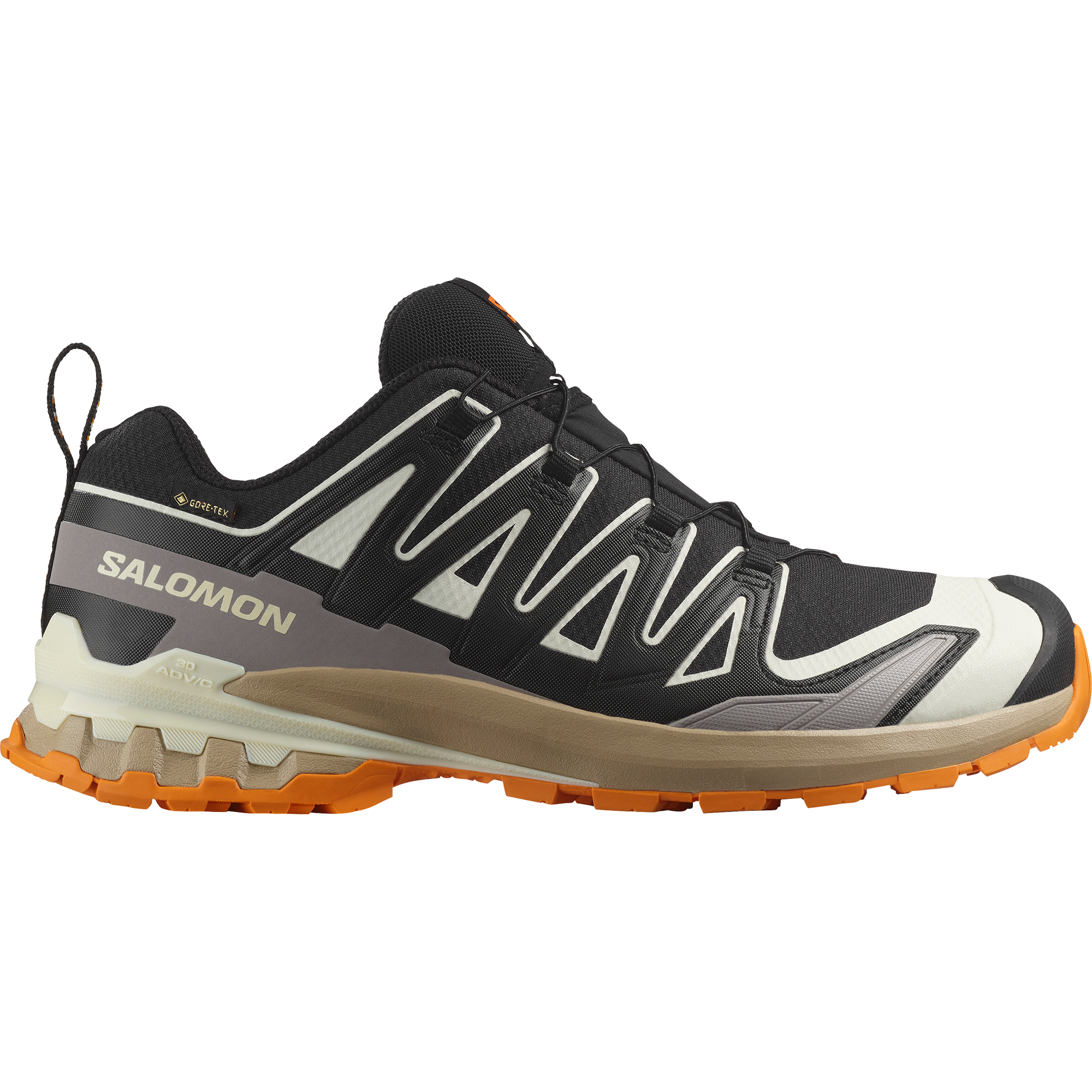 Salomon Laufschuh »XA PRO 3D V9 GORE-TEX«, wasserdicht