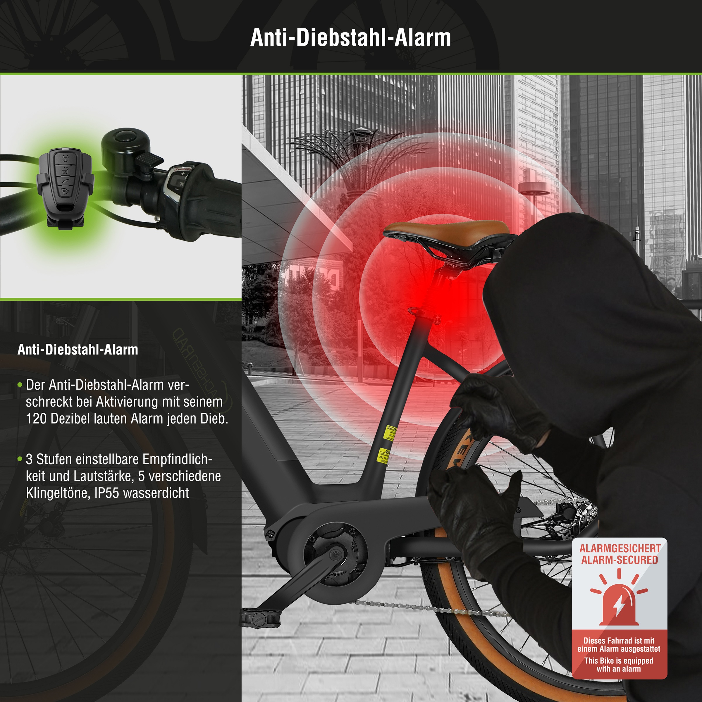SachsenRad »C5 Centro II mit Diebstahlsicherung« 8 Gang Shimano Kettenschaltung Mittelmotor 250 W