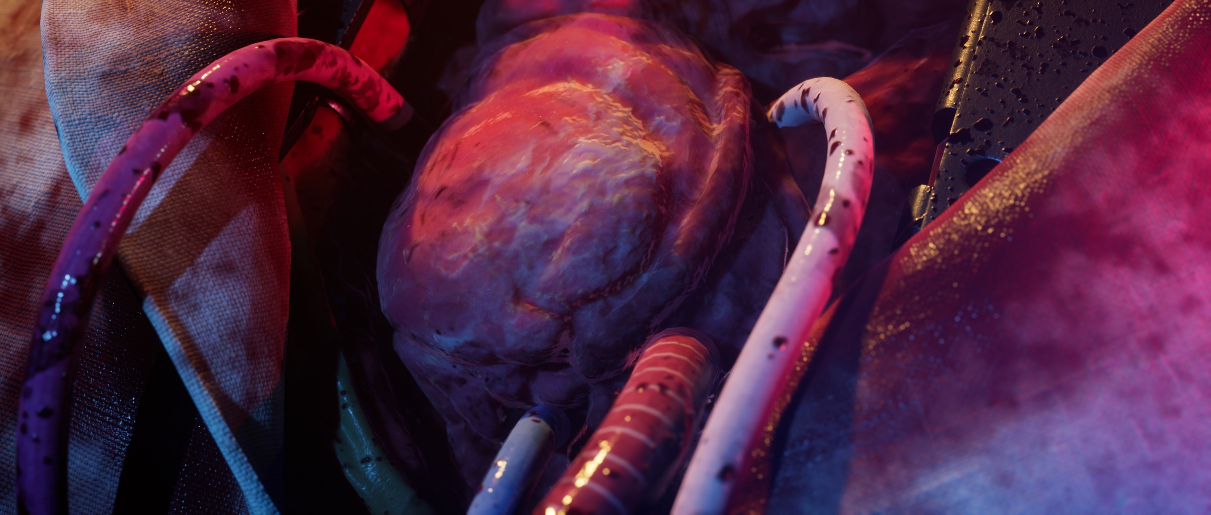 Bandai Spielesoftware »The Dark Pictures: The Devil In Me«, PlayStation 4