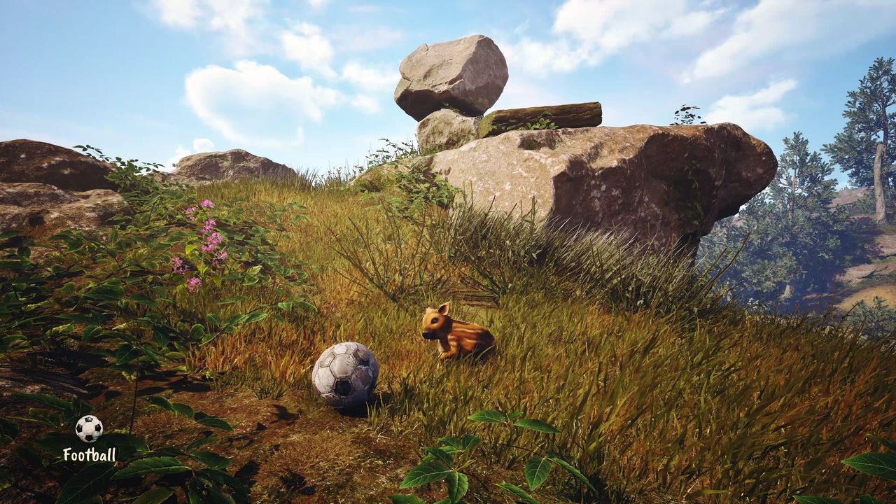 PQube Spielesoftware »Adorable Adventures« PlayStation 5