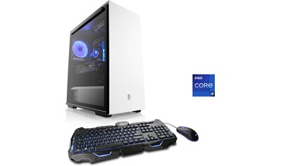 CSL Gaming-PC »HydroX V9131« kaufen