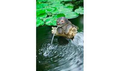 Wasserspeier »Otter«