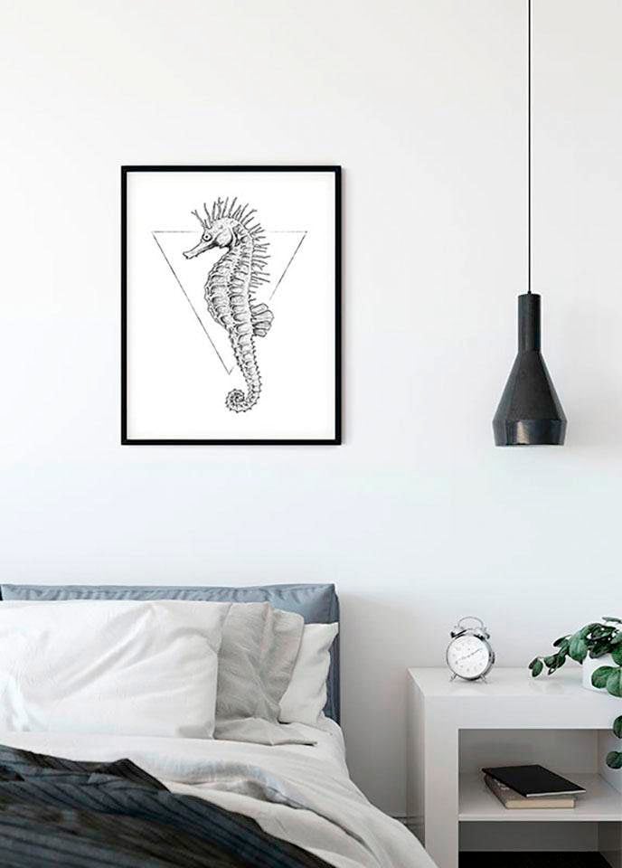 Komar Poster "Sea Horse White", Tiere, (1 St.), Kinderzimmer, Schlafzimmer, Wohnzimmer