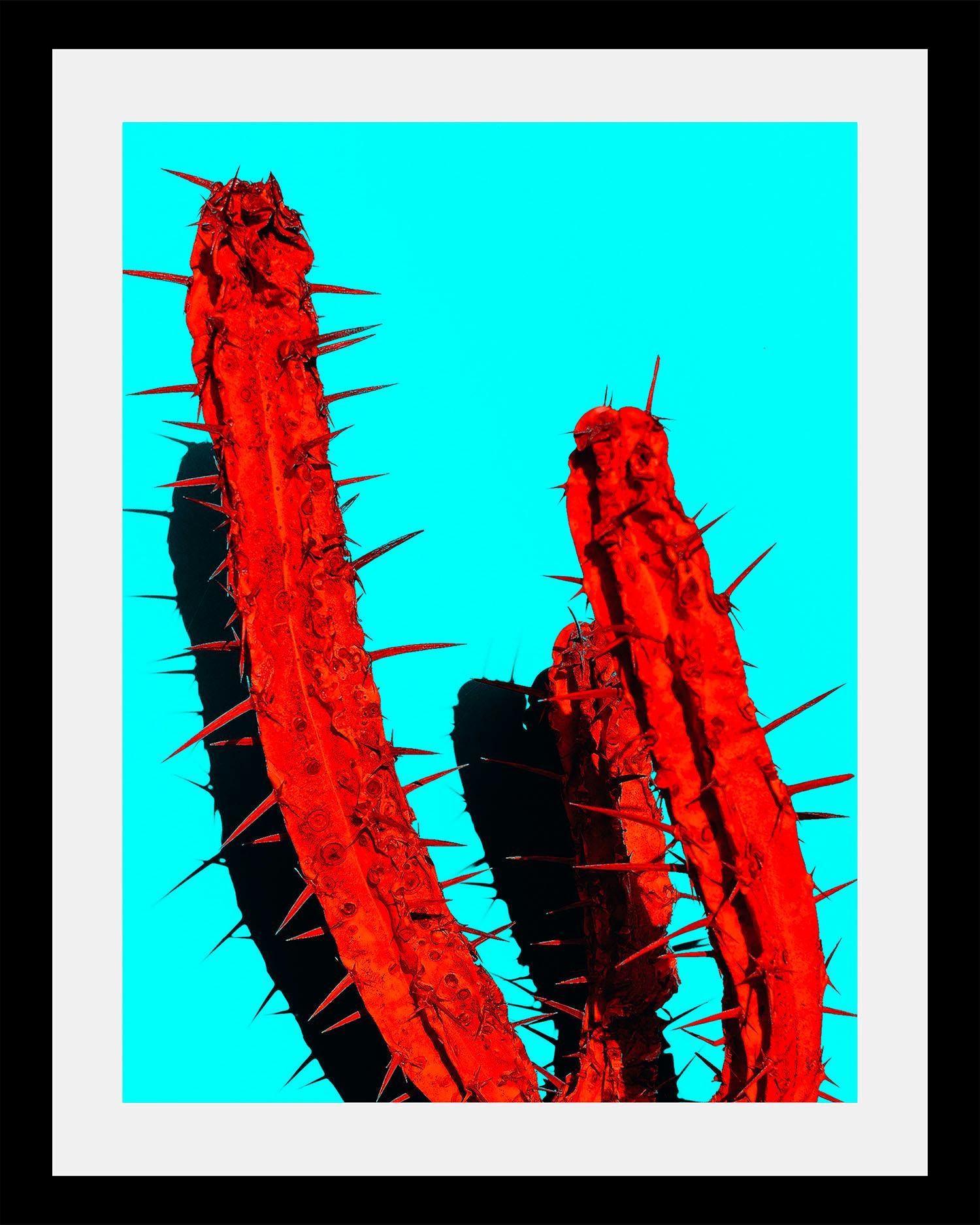 queence Bild »Kaktus«, in 3 Größen, gerahmt
