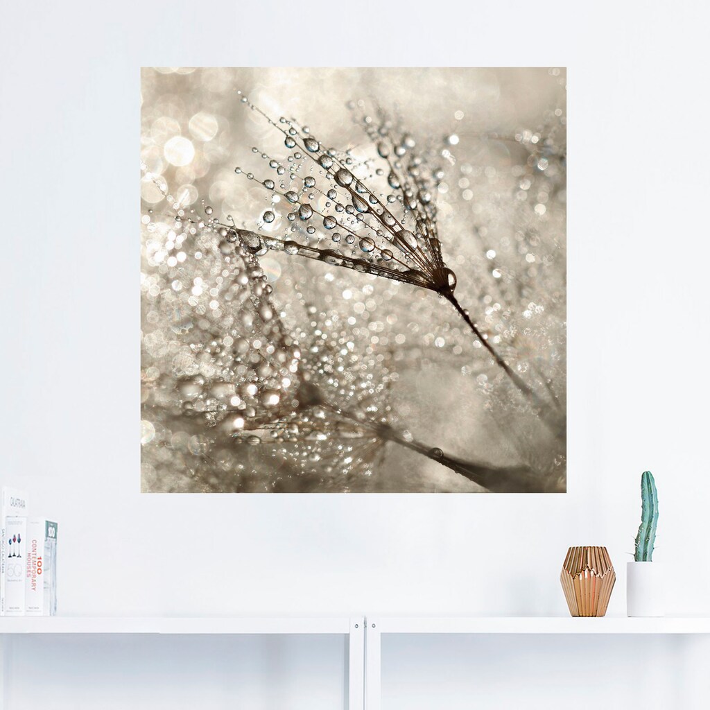 Artland Wandbild »Pusteblume Tautropfen«, Blumen, (1 St.)