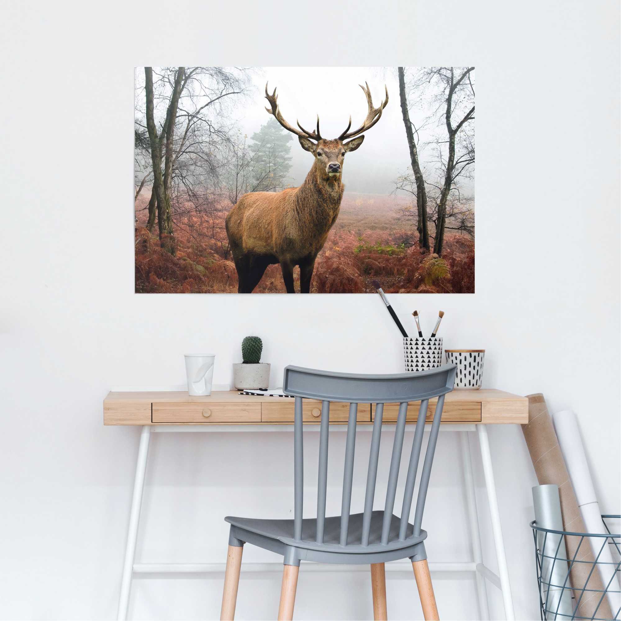 Reinders Poster "Hirsch im Wald", (1 St.) günstig online kaufen