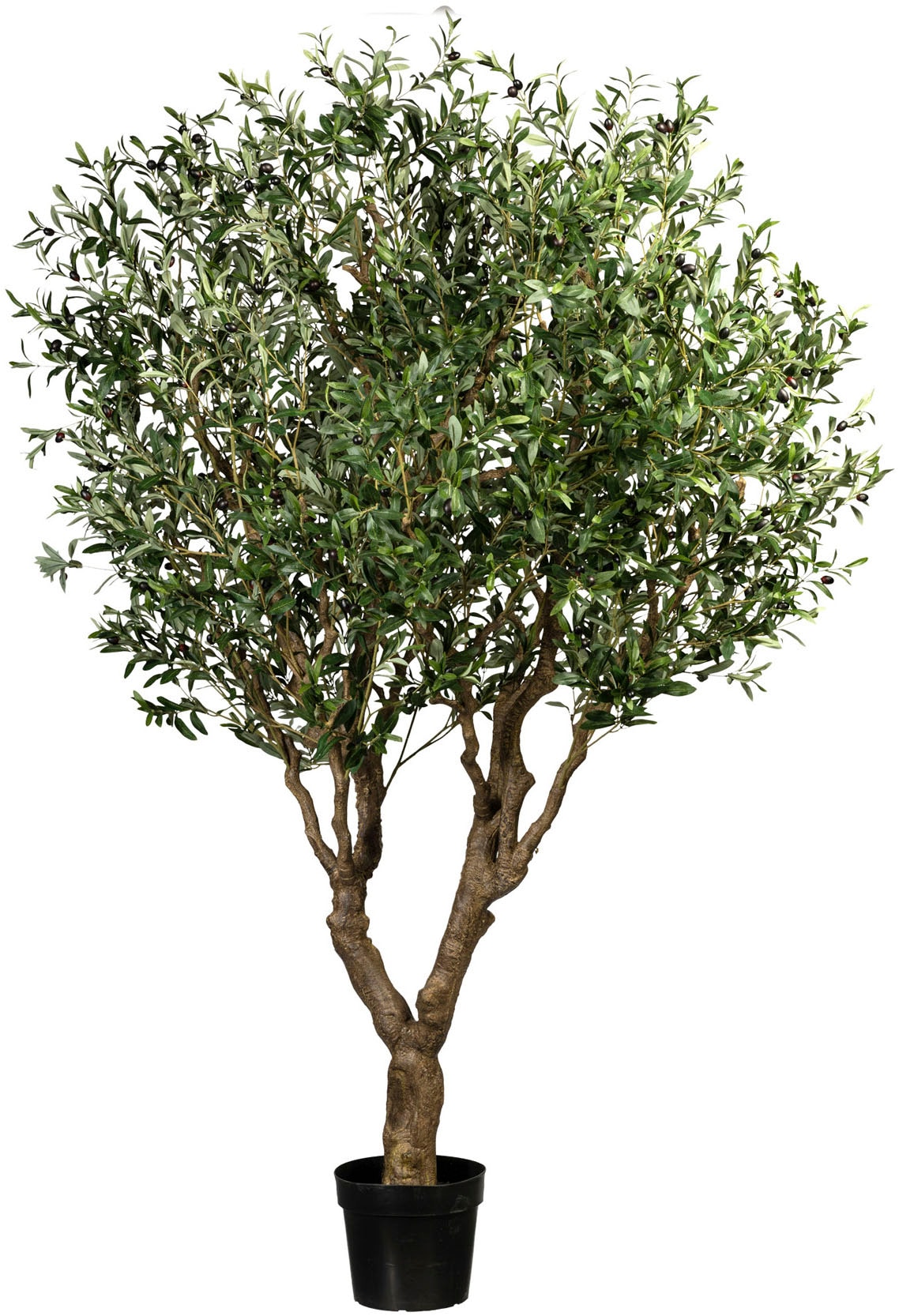 Creativ green Kunstbaum "Olive", mit detailgetreuer Gestaltung günstig online kaufen