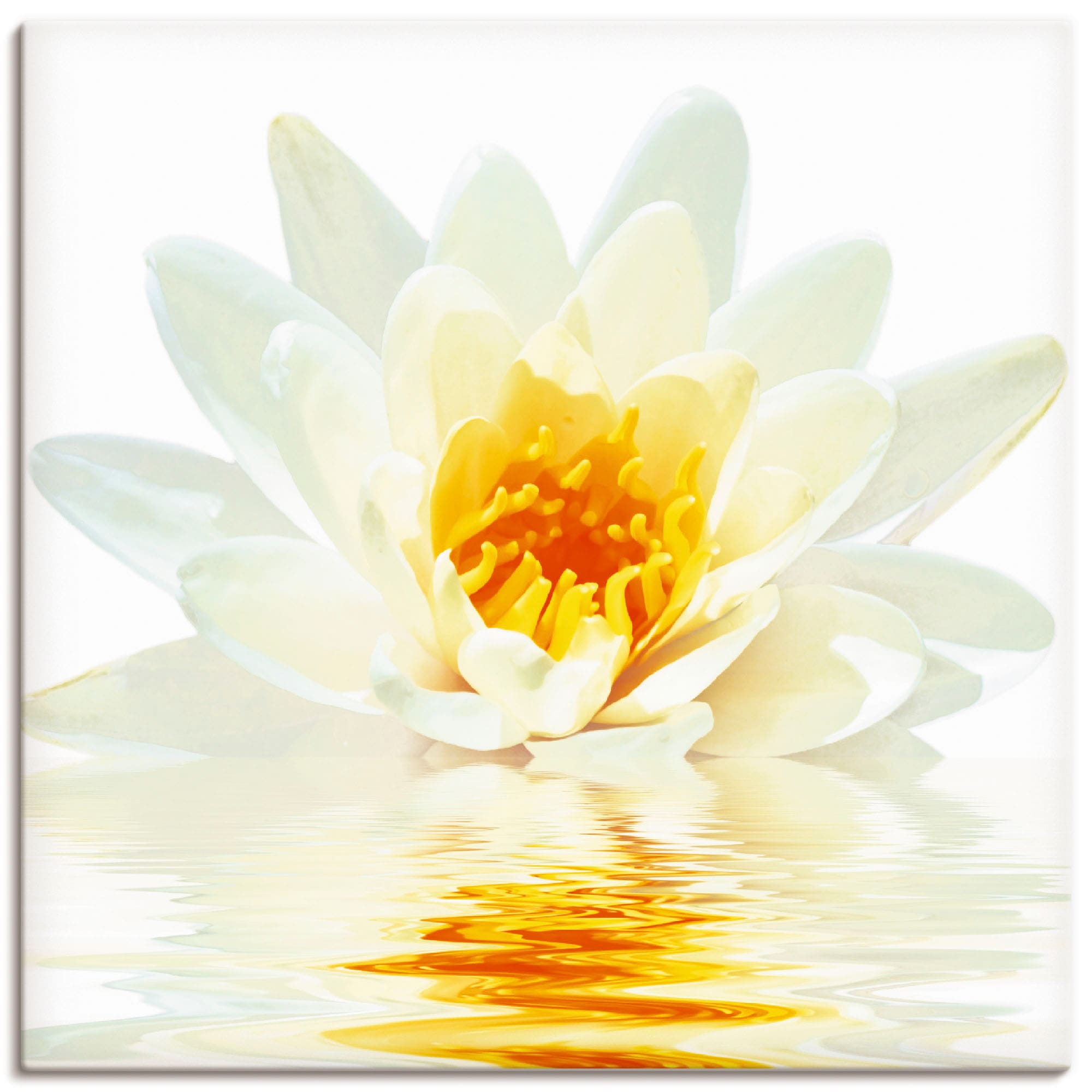 Artland Leinwandbild "Lotusblume schwimmt im Wasser" Blumen 1 Stk. tlg. auf Holzrahmen gespannt