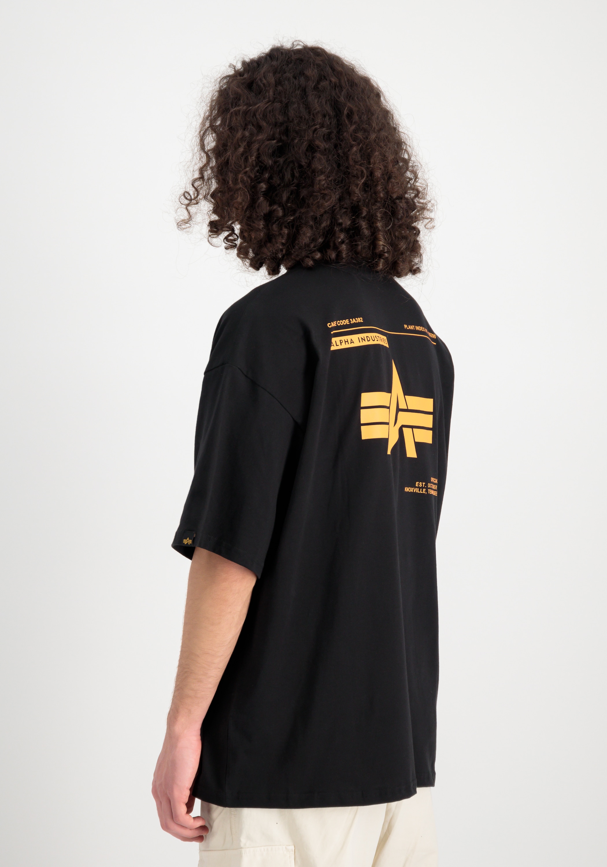 Alpha Industries T-Shirt »Logo Backprint T-Shirt«