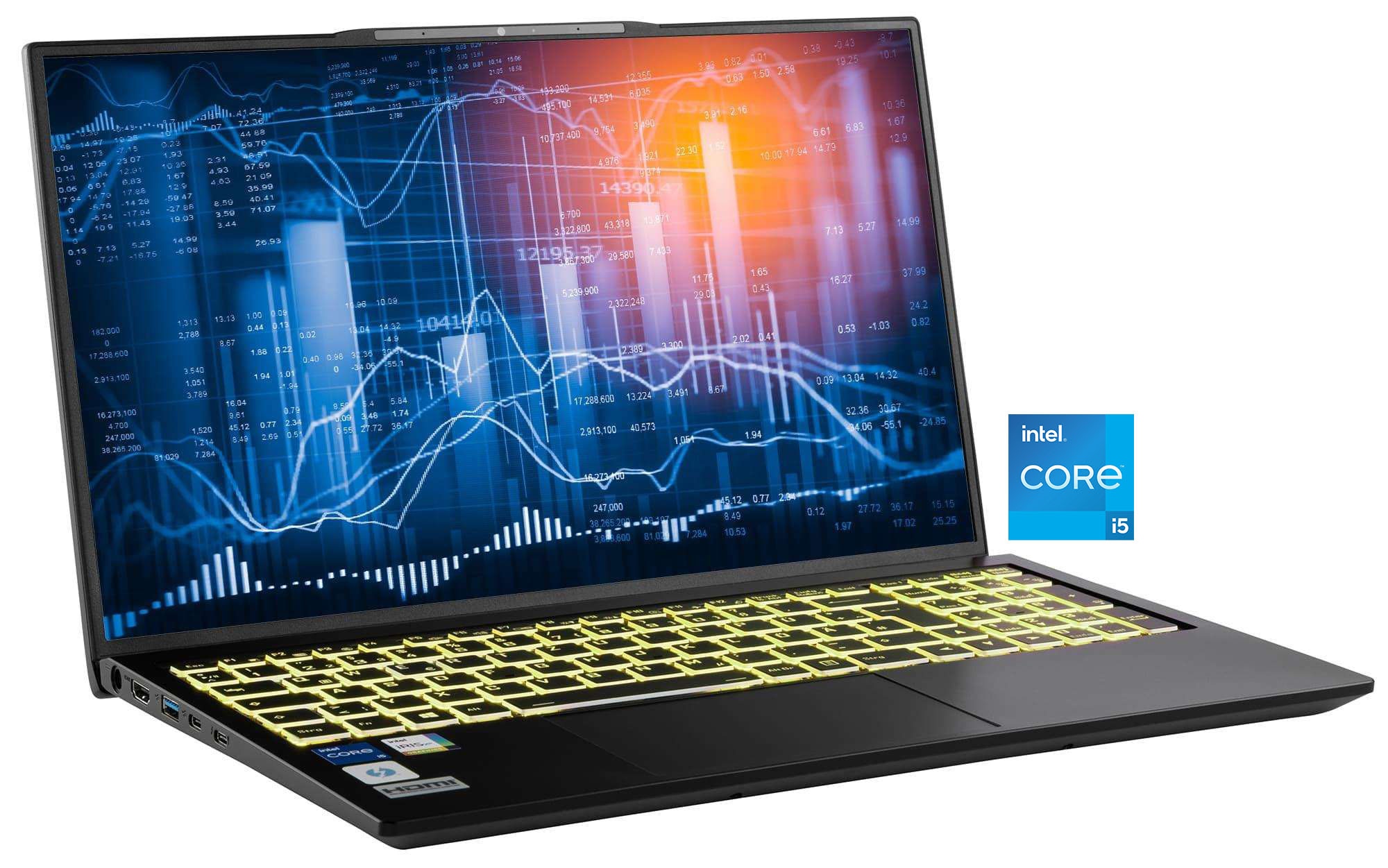 CAPTIVA Business-Notebook "Business/Office I10-1420GE", schwarz (silberfarben), 32 GB RAM 500 GB SSD, Core i5, Microsoft Windows 11 Home (64 Bit), Not