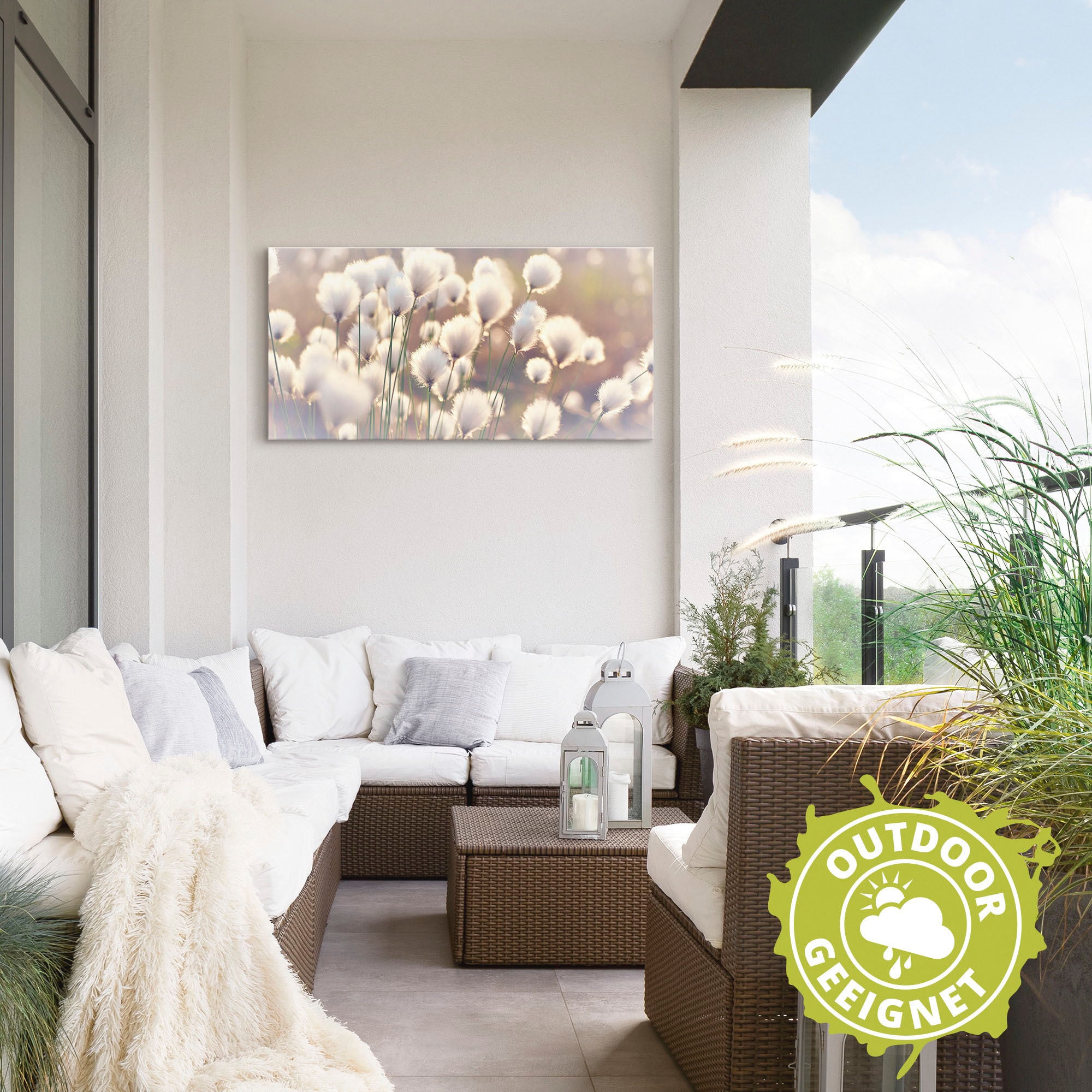 Artland Wandbild »Wollgraszauber im Moor«, Gräser, (1 St.), als Alubild, Outdoorbild, Leinwandbild, Poster, Wandaufkleber