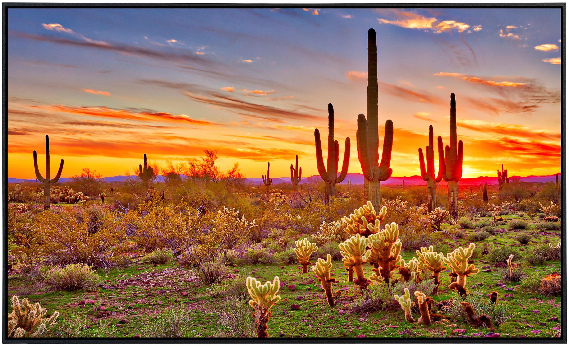 Papermoon Infrarotheizung »Saguaros Sunset Phoenix«, sehr angenehme Strahlungswärme