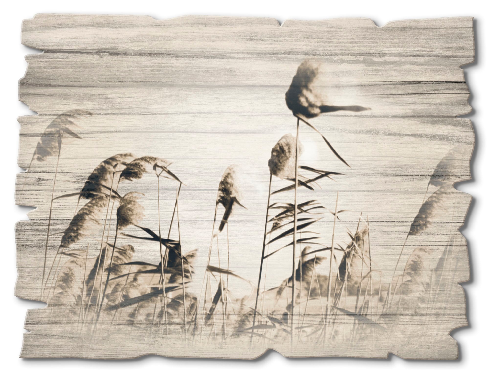 Artland Holzbild »Gräser« Gräser (1 St.)