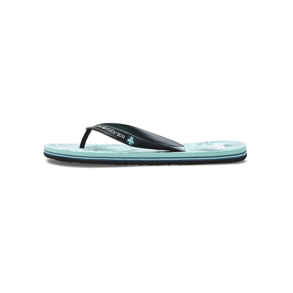 Quiksilver Sandale »Molokai Air Flow«